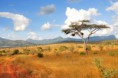 /album/galerie-de-photos-page-daccueil/paysage-ghaneen-jpg/